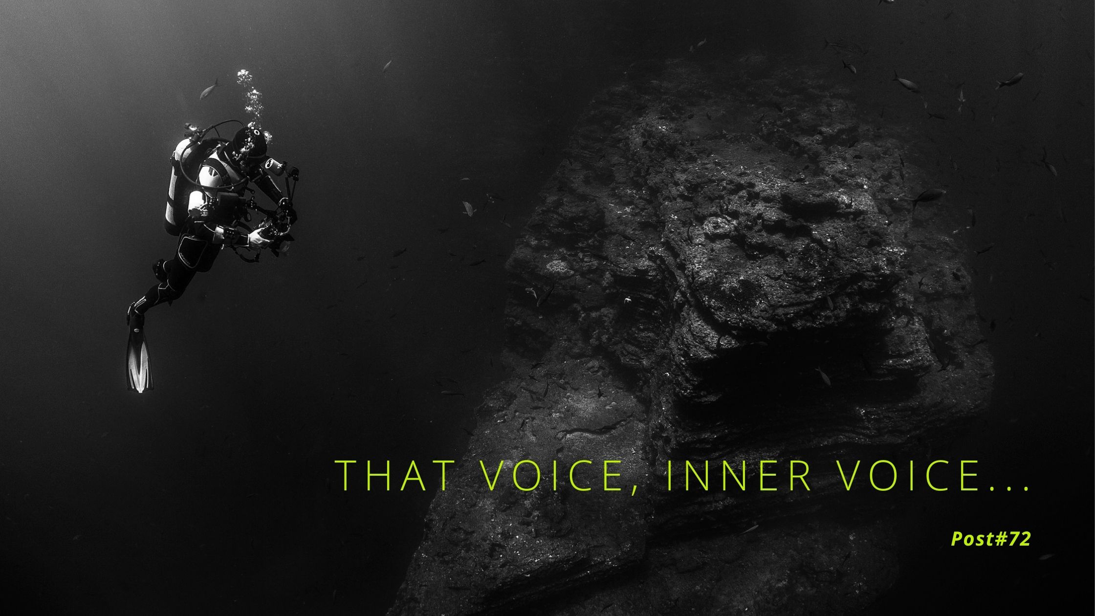 Voice, Do you Hear it?